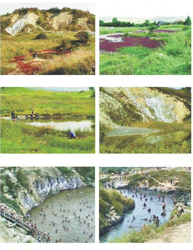 18. Praid, jud. Harghita. Cheile sãrii 19. Mãrtiniº, jud. Harghita. Vegetaþie halofilã 20. Jabeniþa, jud. Mureº. Lac cu nãmol sãrat La Gureþe 21.