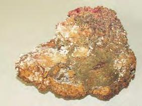 Este casantã, uºor solubilã în apã, higroscopicã, are gust sãrat, clivaj perfect, urmã incolorã ºi luciu sticlos. Coloreazã flacãra în gãlbui ºi se topeºte la 800 C. MSS, 9 006 211.