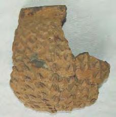 Vânãtori- Neamþ, jud. Neamþ. Lut ars. H: 65 mm. Neolitic, Starcevo-Criº. Fragment reprezentând piciorul tronconic al unui vas de dimensiuni medii.