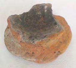 31. Fragment de vas tronconic. Localitate Cacica, jud. Suceava, punct Salina. Lut. H = 4,3 cm; DB = 8,5 x 8 cm. Eneolitic, Cultura Cucuteni.