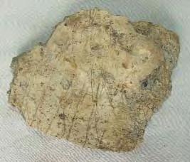 Are fundul discoidal, corpul vasului lipseºte din vechime. Fragmentul este de tip briquetage, tipul B1. CMB, B2484. Întocmit: Mugur Andronic, Ion Mareº 32. Fragment de vas. Localitate Cacica, jud.