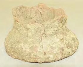 Fragmentul pãstrat reprezintã partea inferioarã a vasului, constând într-un picior scurt, tronconic, cu fundul albiat.