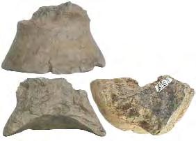 Harghita, Dâmbul Cetãþii - Vardomb. În apropierea Staþiei de acumulare a apei potabile pentru comuna Pãuleni - Ciuc. Lut, cioburi pisate, modelare cu mâna. H: 18 cm; DG: 15 cm; DB: 8,5 cm. Eneolitic.