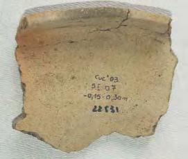 Întocmit: Horia Ciugudean 87. Fragment de vas. Cucuieþi-Slatina Veche, com. Solonþ, jud. Bacãu. Lut ars. H: 100 mm. A doua epocã a fierului.