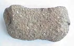 4 cm, care fixau legãtoarele (probabil din piei) cu care ciocanul se prindea de coadã. Forma, greutatea, contextul descoperirii ºi analogiile cunoscute, sugereazã folosirea lui în minerit.
