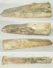 L = 40 cm, LA = 4,5.? sec. XX. Panã (ºpiþ) din fier confecþionatã de meºteri fierari. Are cap nituit ºi gura ascuþitã ºi latã. Era folositã la desprinderea blãnilor de sare din rocã.