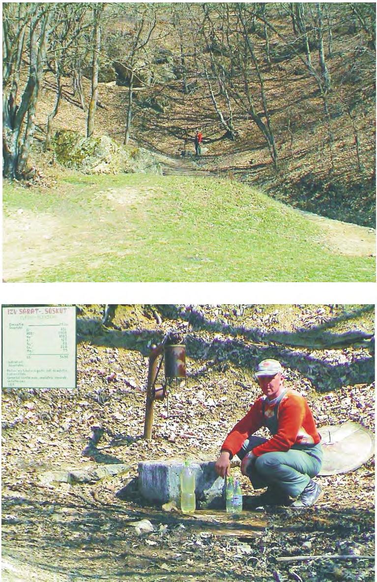 Olteni - Izvorul cu apã mineralã sãratã, jud. Covasna.