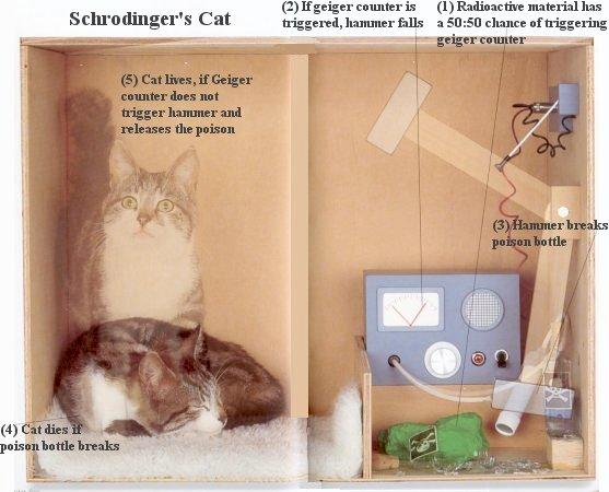 » Schrödinger macskája»a Ψ = 2-1/2 (Ψ