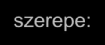 adhéziós molekulák szerepe: 1.