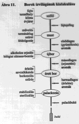 Harmonikus összetétel kialakítása házasítás, sav- és cukortart.