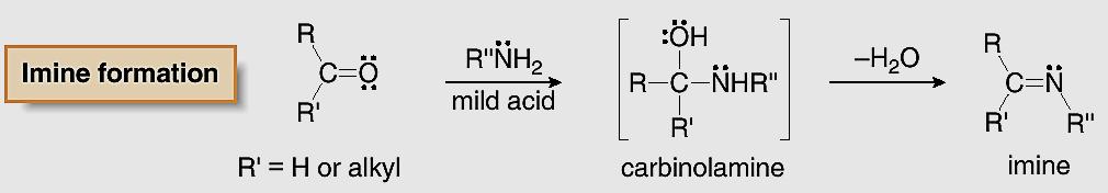 is sp 2 hybridized, making the N bond angle 120, (not 180 ).
