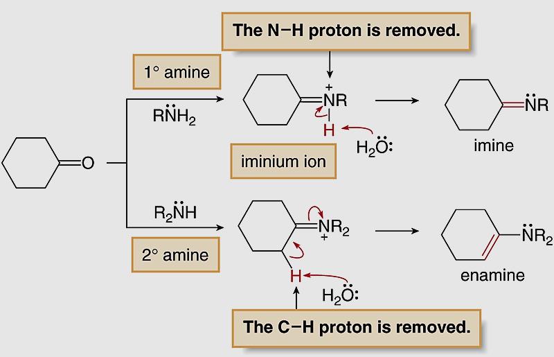 The formation of