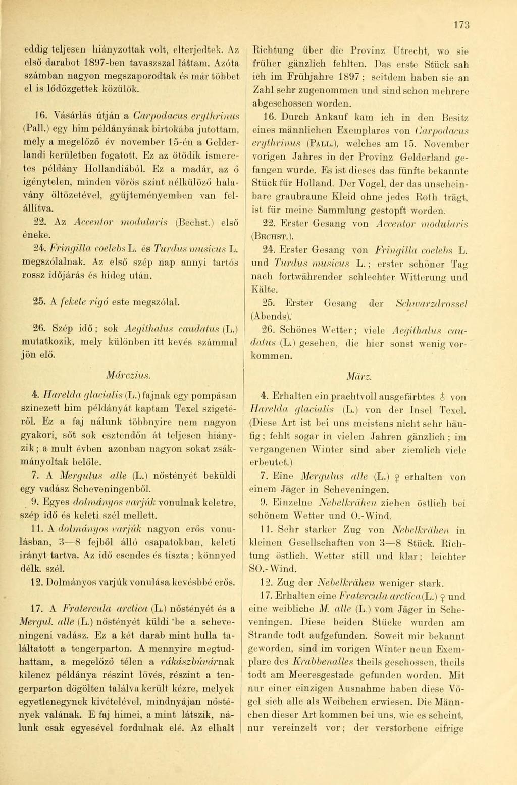 173 eddig teljesen hiányzottak volt, elterjedtek. Az első darabot 1897-ben tavaszszal láttam. Azóta számban nagyon megszaporodtak és már többet el is lődözgettek közülök. IG.