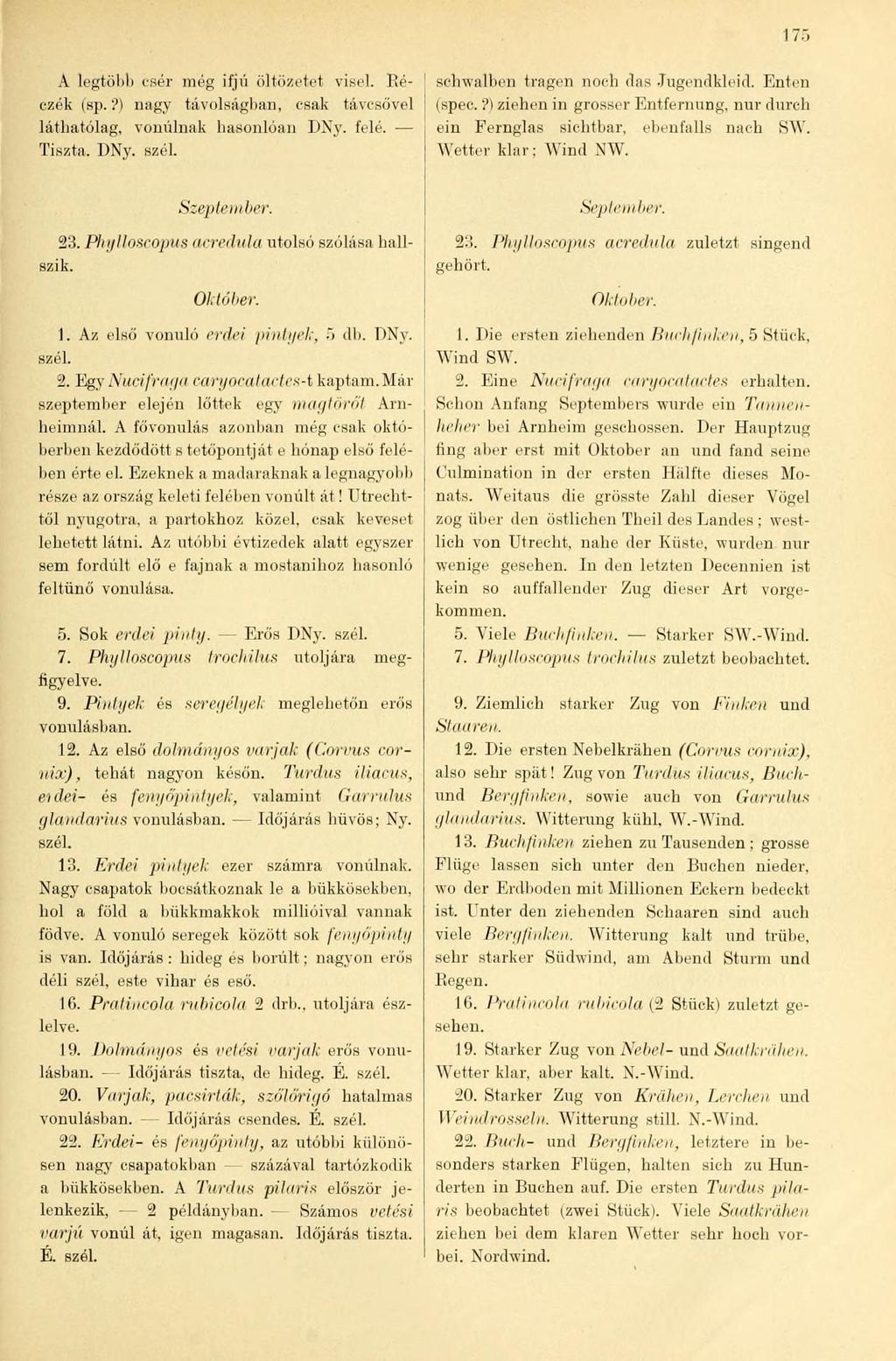 17:. A legtöbb csér még ifjú öltözetet visel. Béczék (sp.?) nagy távolságban, csak távcsővel láthatólag, vonulnak hasonlóan DNy. felé. Tiszta. DNy. szél. schwalben tragen noch das Jugendkleid.