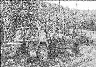 1971, keď hrubá produkcia na 1 ha p.p. predstavovala namiesto predpokladaných 4 950 Kčs až 6 349.