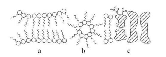 hexagonális-ii elrendeződésbe kerülése miatt).