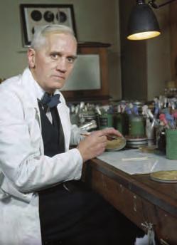 Ismét egy véletlen a penicillin felfedezése A B 3 -vitamin Bár a penicillium nevű penészgomba antibakteriális hatását régóta ismerték, a penicillin felfedezése a skót Alexander Fleming nevéhez