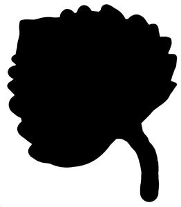 ¼º¼ ¼º ½ ¼º¼ A 1 ¼º ¼ ¼º¾¼¾ ¼º ½ ¼º½ ¼ A 2 ¼º ¼½