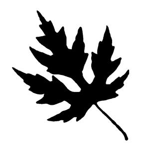 ½ ¾ ¼º½¼¾ ¼º ¾ ¼º¼ ½ A 1 ¼º ½ ½ ¼º¼ ¼º ½¾ ¼º¼ ¾ A 2