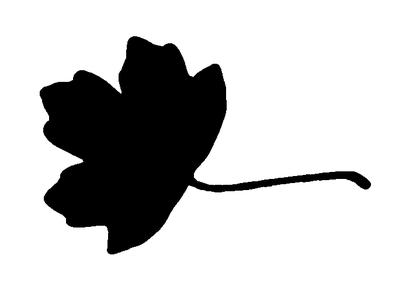 ¾ ¼º¼ ¼º ½½ ¼º¼ A 1 ¼º ½ ½ ¼º½¾ ¼º ¼º½¼ ¼ A 2 ¼º ¼º½