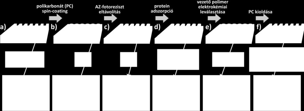 megközelítést alkalmaztunk annak érdekében, hogy az SPR szenzor érzékelési zónájában hozzuk létre fehérje kötőhelyeket kihasználva a felületi lenyomatképzésben (SI) rejlő lehetőségeket. A 12.