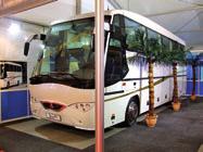 Bár busztípusainak száma a sajtóanyag szerint 9, melyek tovább bôvíthetôk hosszúság, kialakítás, felhasználási terület szerint, de egyértelmûen ez a legeurópaibb autóbusz.