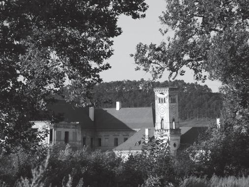 Introducere Una dintre cele mai importante pietre de temelie ale dezvoltării regionale o constituie valorile locale, mediul construit şi natural deosebit de bogat.