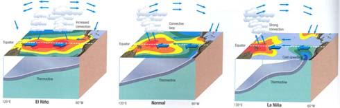 madárpusztulás guanó-képződés csökken Ez az El Niño jelenség (anomália) karácsony