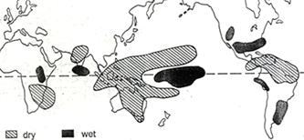 1925 Walker-cella Walker-cirkuláció Déli-Oszcilláció (Southern Oscillation SO) nagy területre kiterjedő óceáni-légköri átrendeződés, amely 2-7 évente jelentkezik a Csendes-ó.