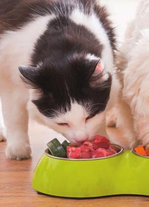 HRANĂ PENTRU ANIMALE ÁLLATELEDEL Bunătăți pentru animalele de companie favorite Animalele de companie au nevoie