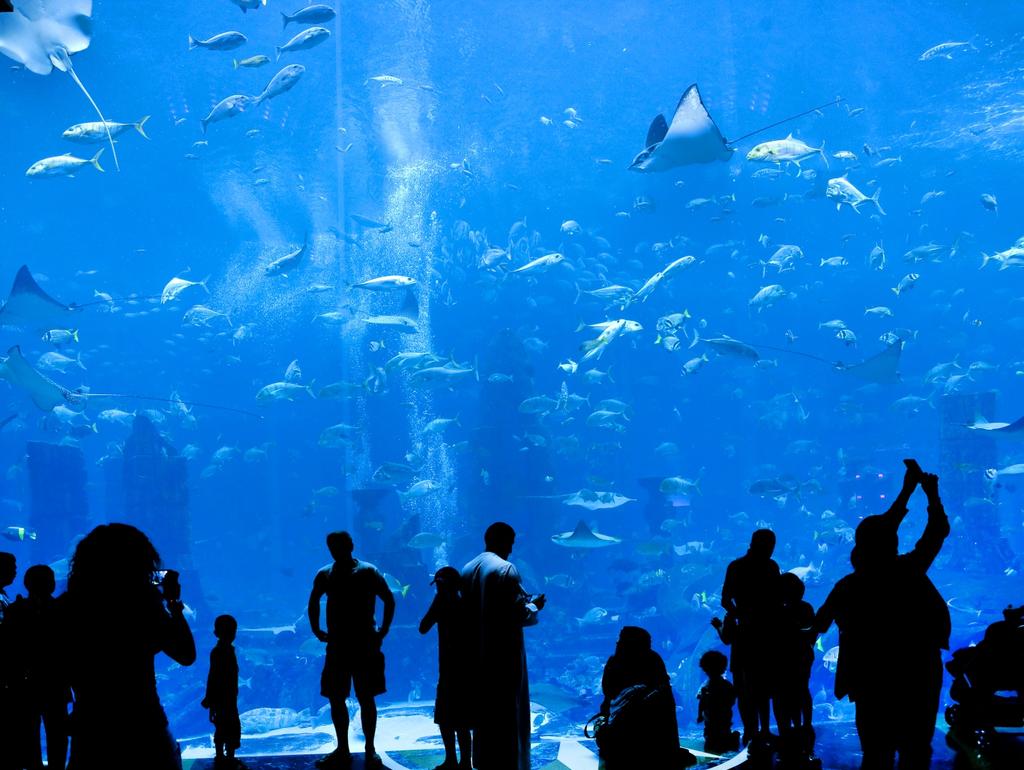 KEZDŐ UTÁNI Dubai Mall In der größten Mall in Dubai kann man in 1200 Geschäften einkaufen.