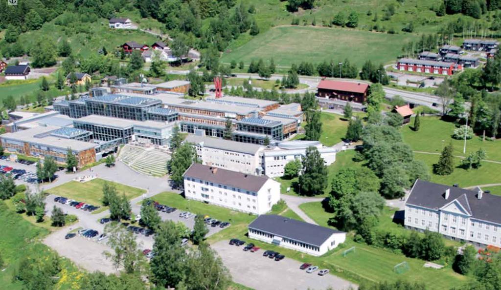 Az egyetem képzési kínálata 35 egyéves, 52 alapszakos és 31 mesterszakos, valamint 4 különböző PhD-képzést ölel fel, továbbá egy a Norvég Műszaki és Tudományegyetemmel közös képzést, a meghirdetett