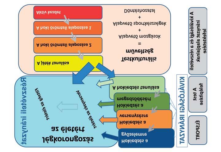 A PROGRAM ÁTTEKINTÉSE A gyerekek, a serdülők és a felnőttek fejlesztése a fizikai, mentális, értelmi és érzelmi fejlődés folyamatain alapul, a megfelelő fejlődés érdekében mindegyik életkori szakasz