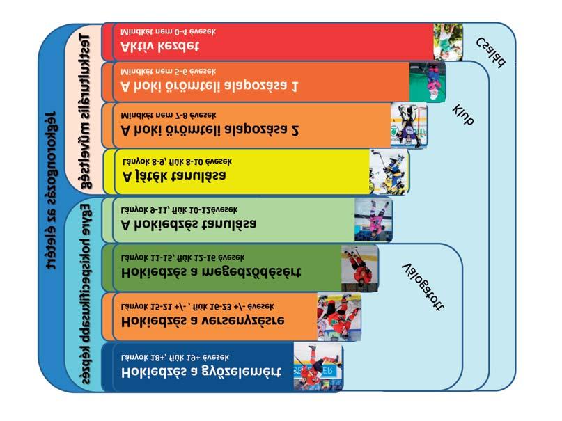 A PROGRAM SZAKASZAI JÉGKORONGBAN A legtöbb sportágban hét szakaszra osztható a sportolók felkészítése, de a jégkorongban egy 9 szakaszos modell illeszkedik a legjobban a sportolók felé támasztott