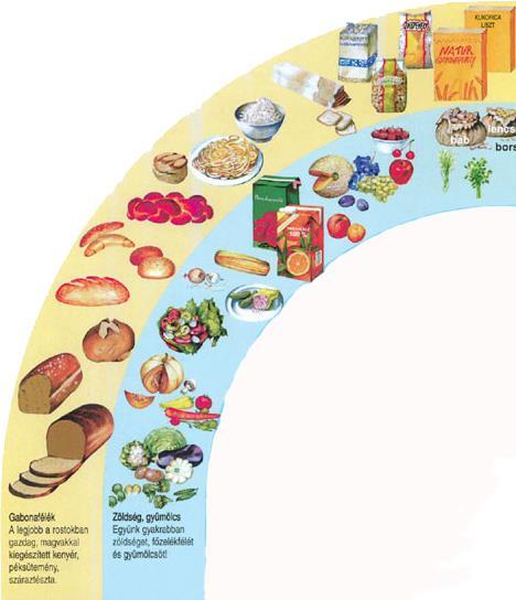 A kiegyensúlyozott étrend Zöldségfélékből és gyümölcsből legalább napi