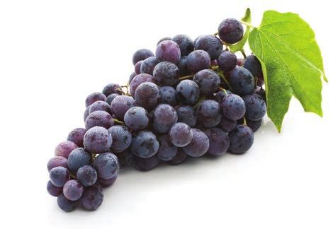 Mega CoQ10 PLUS hatóanyagai/kapszula: Koenzim-Q10 E-vitamin Béta-karotin Szelén Adagolás: 1 kapszula naponta 50 mg 6,7 mg 0,6 mg 10 mcg Figyelem!