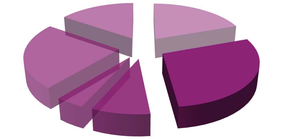 12. ábra: Hírességek az új reklámszpotokban (%) Egyéb; 15,4 Sport; 19,6 Média; 23,8 Divat ; 4,2 Film/Színház; 28,7 Zene; 8,4 Vizsgáltuk azt is, hogy az új reklámszpotokban népszerűsített termékek és