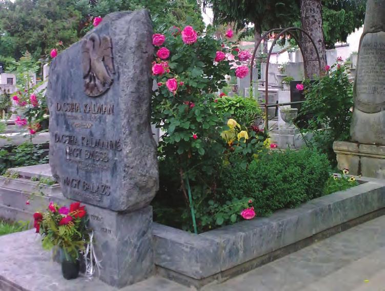életedet Jézus Krisztus felé. Ha sikerülne, hogy csillag legyél, ne bízd el magad.