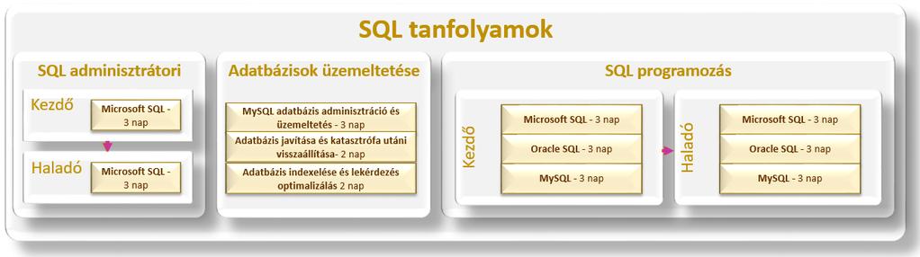 Projekt menedzsment és a Microsoft Project Elmélet PMEM Projekt menedzsment elméleti-módszertani ismeretek 2 98 800 21. 27. 5.