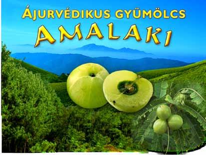 Amalaki naturál Erősíti a szervezet védekezőképességét Köhögés és megfázás ellen Jótékonyan hat az emésztésre Hatékony gyomor és bél problémák esetén Szív és agy tevékenység fokozó Hozzájárul a