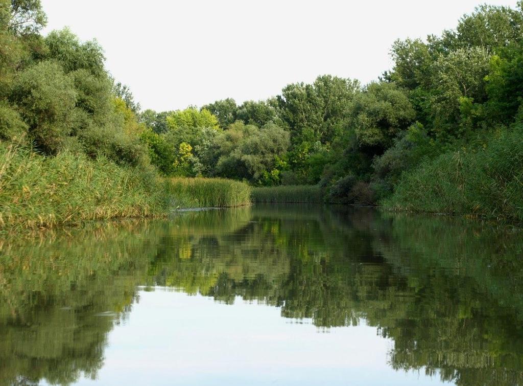 A vízenergia olyan megújuló energiaforrás, amelyet a víz eséséből vagy folyásából nyernek A vízienergia megújuló