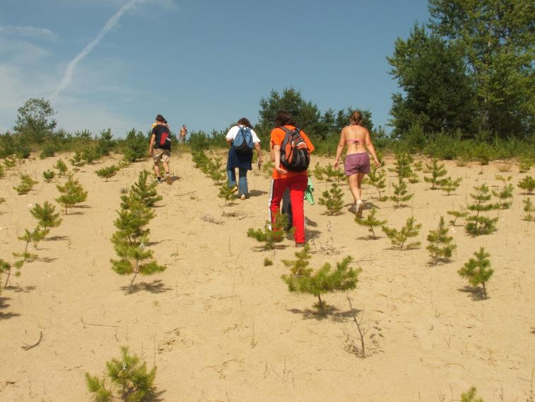 KÖRNYEZETBIOLÓGIA TERMÉSZETVÉDELEM Figure 1. Condition characteristics are registered and analyzed The survey of ecological effects can be divided into three successive phases (RÉDEY, Á. et al. 2002).