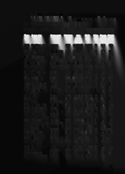 Lr ~ TI~lKI 'i}oo)l]@w djooij@[ljr;:a[!.lfj)@[lj A filmforgalmazás adatai C#@~[!
