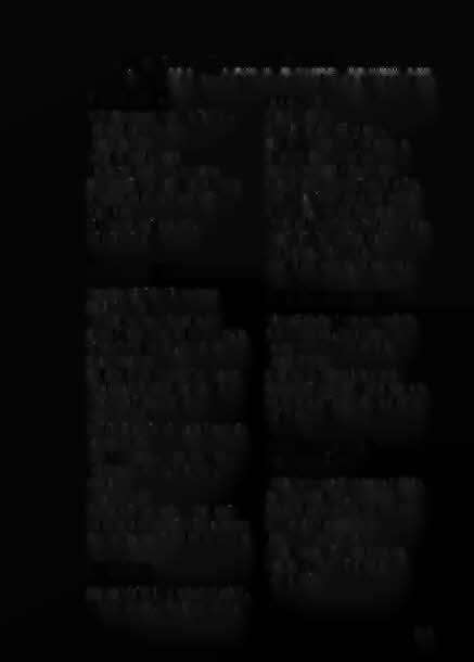~ A filmszakma szervezetei és intézményei FLAMEX KFT. 1021 Budapest, Labanc út 22/b. Telefon/fax: 391-4270 Fax: 391-4272 E-maii: info@flamex.