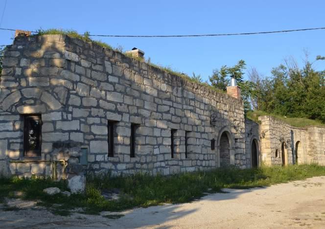 belőlünk a bor és a szőlőkultúra