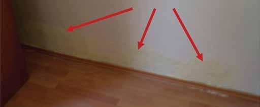 A helyszíni szemrevételezés tapasztalatai A helyszíni szemrevételezésre szabályosan kitűzött időpontban, 2008. február 12-én került sor. Azon a felperes vett részt.