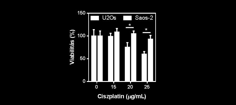 tekintetében nem tapasztaltunk jelentős különbségeket a vizsgált sejtvonalak között, úgy tűnik, hogy az ezüst nanorészecskék ugyanolyan hatékonysággal képesek a vad típusú p53-at kifejező U2Os és a