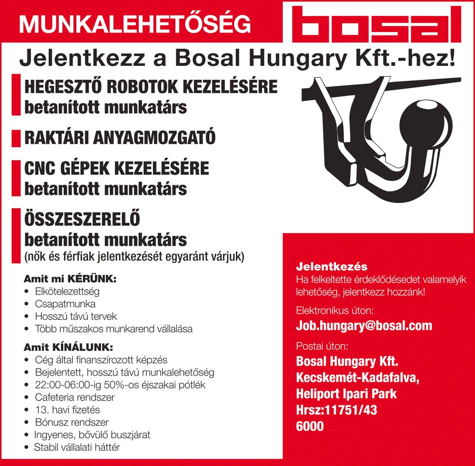 jogosítvánnyal rendelkező