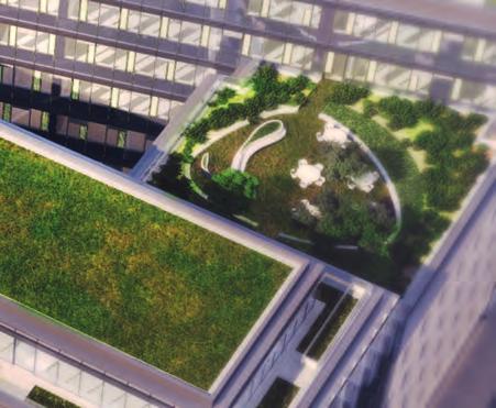 In terms of utilising solar energy we are introducing photovoltaic solar panels as a new element in Nordic Light. These will not be used Skanska Property Hungary Ltd. Tel.
