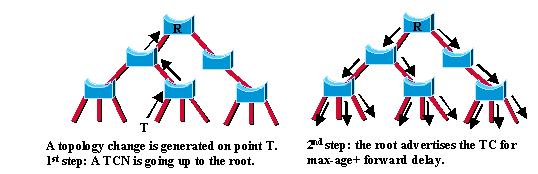 Spanning Tree Protolcol (STP 802.